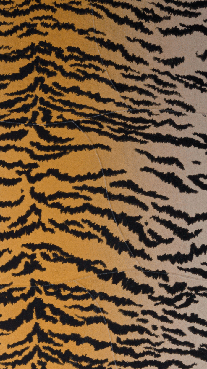 Tapete Animal Print Tigre - Image 2