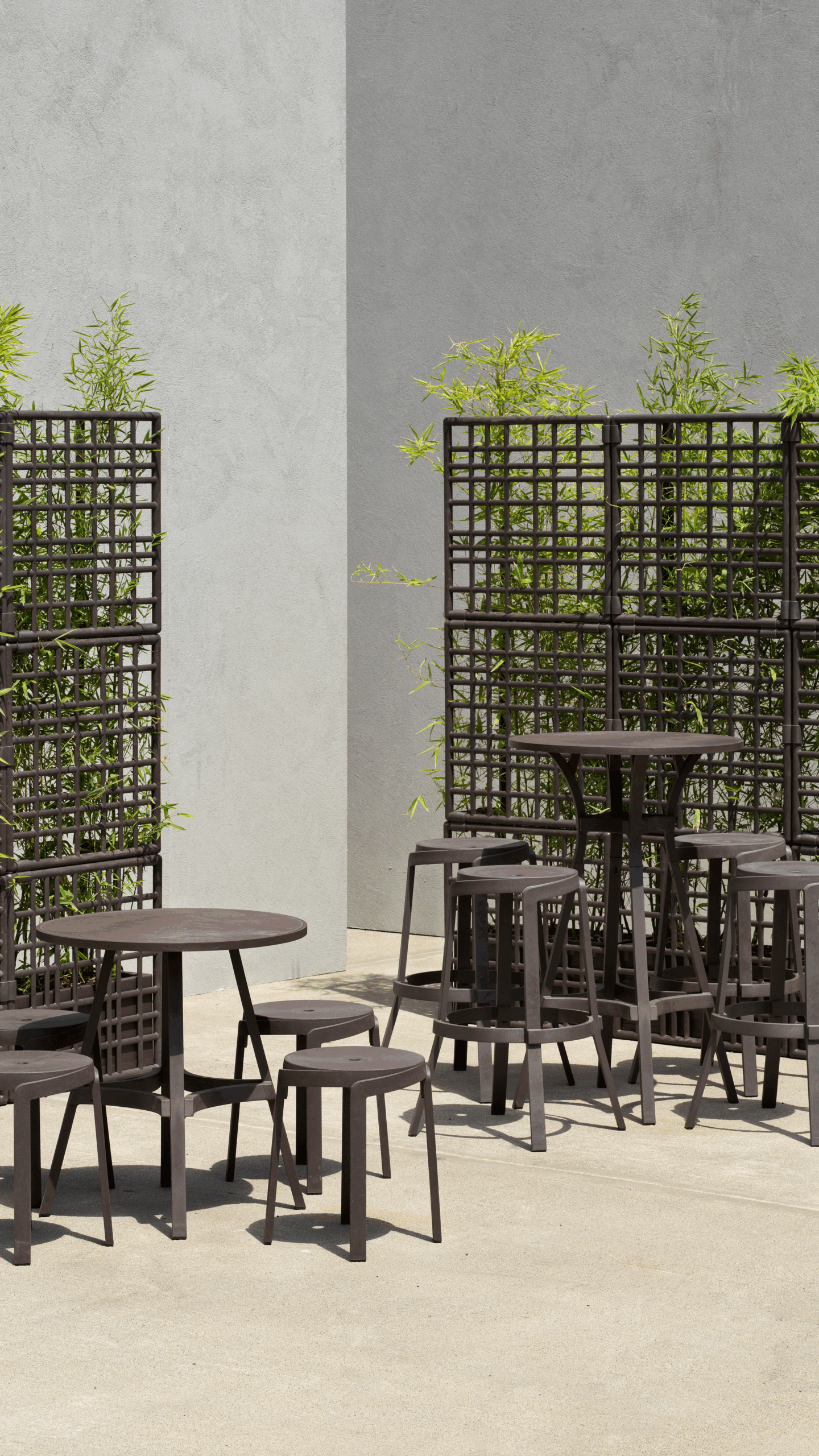 Mesa Combo High - Image 5