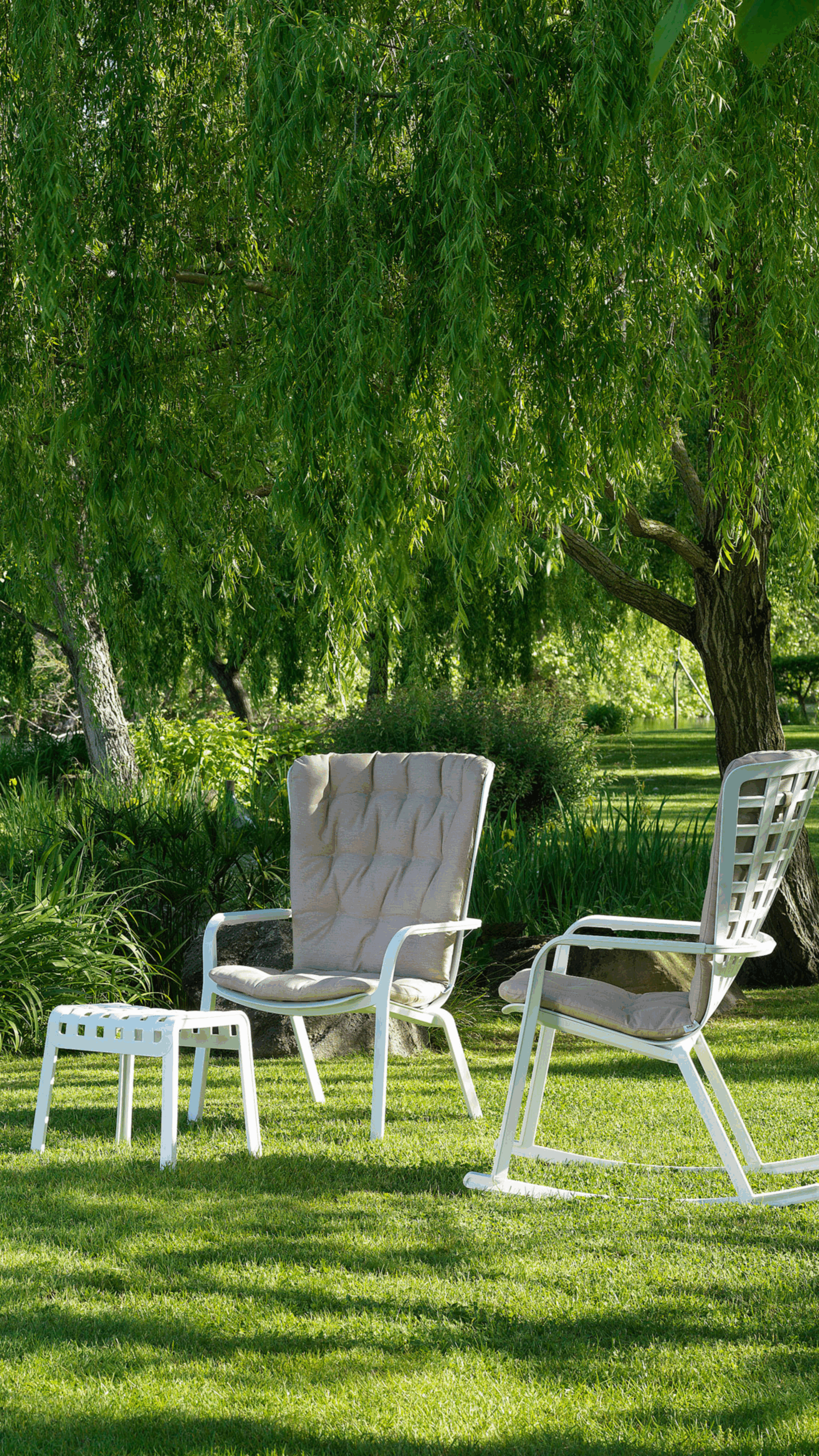 Poltrona Fólio - Image 4