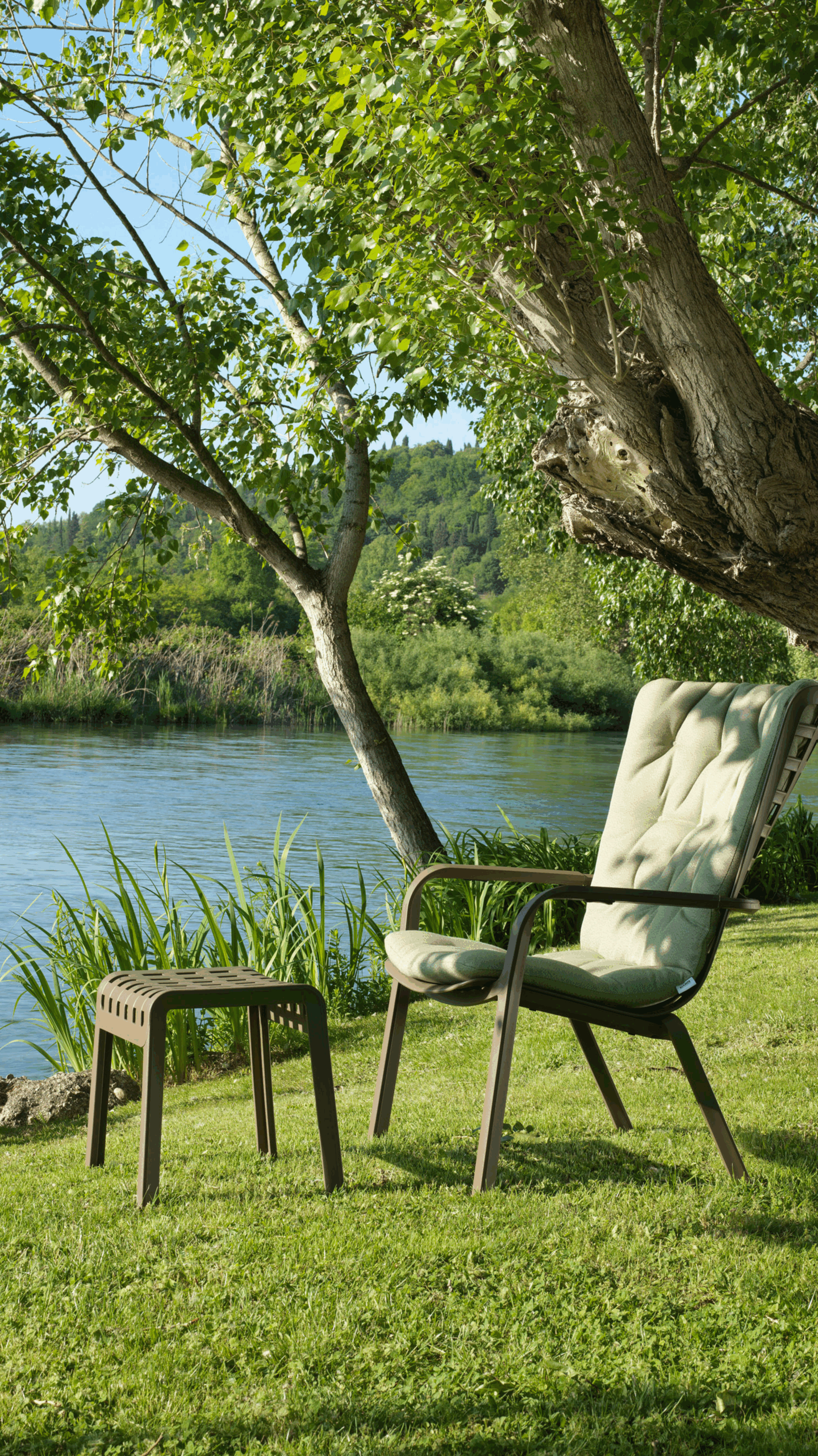 Poltrona Fólio - Image 5